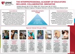 The Interprofessional Academy of Educators: Inclusive, Collaborative, Innovative