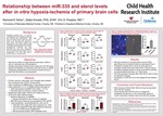 Relationship between miR-335 and sterol levels after in vitro hypoxia-ischemia of primary brain cells