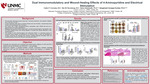 Dual Immunomodulatory and Wound-Healing Effects of 4-Aminopyridine and Electrical Stimulation