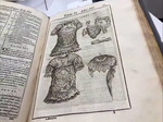 A Survey of Medical Illustration of the Heart in the McGoogan Library Rare Book Collection by Erin Torell