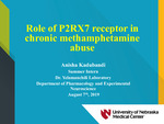 The Role of the P2X7 Receptor in Chronic Methamphetamine Abuse