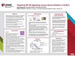 Targeting NF-kB Signaling using a Novel Inhibitor in DLBCL by Julia Ceniceros, Alexandria Eiken, and Dalia Elgamal