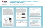 Uncertainty Analysis of Radiomic Features in Normal and Pancreatic Cancer Patients