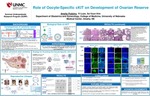 Role of Oocyte-Specific cKIT on Development of Ovarian Reserve