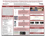 Non-Destructive Characterization of Peripheral Arteries using Intravascular Ultrasound