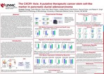 The CXCR1 Axis: A Putative Therapeutic Cancer Stem Cell-Like Marker in Pancreatic Ductal Adenocarcinoma by Elizabeth Thomas, Caitlin Molczyk, Paran Goel, Marie Powers, Lubaba A. Zaman, Evie Ehrhorn, Samuel Cohen, and Rakesh K. Singh