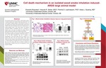 Cell death mechanism in an isolated wood smoke inhalation induced-ARDS large animal model