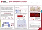 Spinal Cord Disease in HIV Infection by Zoe Keese, Amanda Fernandes, Lili Guo, Edward Makarov, Saumi Mathews, and Santhi Gorantla