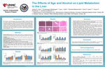 The Effects of Age and Alcohol on Lipid Metabolism in the Liver