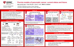 Porcine Models of Pancreatic Cancer: Current Status and Future