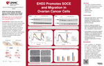 EHD2 Promotes Store-Operated Calcium Entry (SOCE) and Cellular Migration in Ovarian Cancer Cells by Mariam Zahid, Haitao Luan, Bhopal C. Mohapatra, Aaqib Bhat, Sukanya Chakraborty, Oscar D. Juvera, Matthew Storck, Vimla Band, and Hamid Band