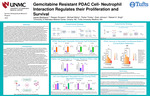 Gemcitabine Resistant PDAC Cell- Neutrophil Interaction Regulates their Proliferation and Survival by Lauren Abrahams, Reegan Sturgeon, Michael Maher, Parker Tinsley, Ester Johnson, and Rakesh K. Singh