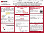 Tyrphostin (AG-879) Decreases AKT Activation Through NGFR Inhibition in Human Glioblastoma Cell Lines