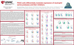 PDAC-cells Differentially Modulate Expression of Neutrophil Serine Proteases and Their Inhibitors by Sumanas Maram, Reegan Sturgeon, Ridhi Bhola, Ainsley Meyerson, Esther Johnson, and Rakesh K. Singh