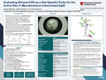 Evaluating Bimane-CGH as a Site-Specific Probe for the Active Site of Mycobacterium tuberculosis EgtD by Bryan Benitez, Helen Erikson, and Don Ronning